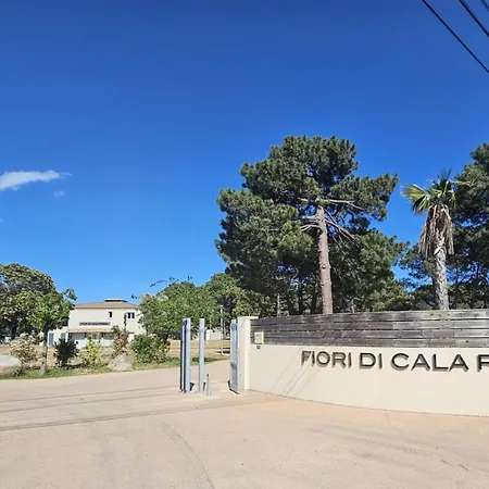 Apartamento Tres Bel T3 Dans Hotelliere 