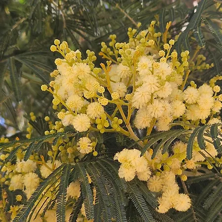 Tres Bel T3 Dans Hotelliere 