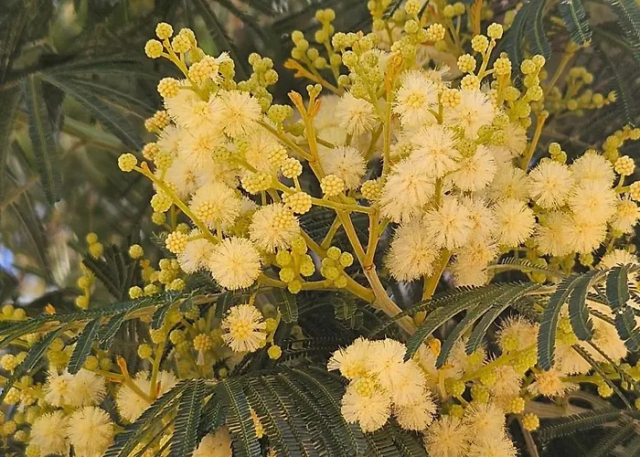 Tres Bel T3 Dans Hotelliere 